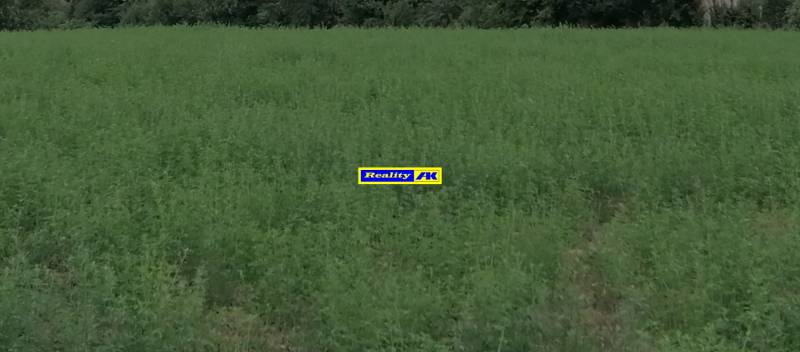 Pozemok na predaj pre rodinný dom 
