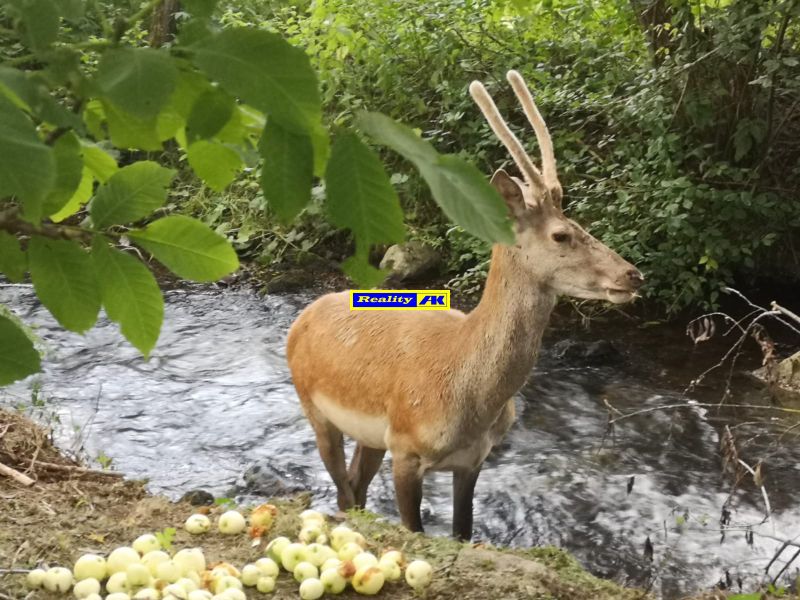 Rodinný dom na predaj Turček
