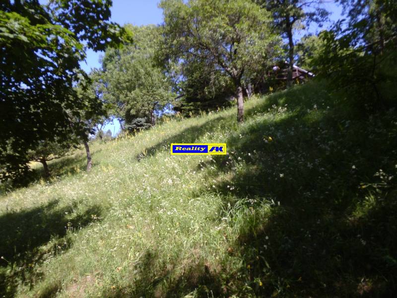 P1000455.JPG